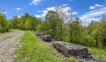 State Route 28 lot # 10, Andes, NY 13731