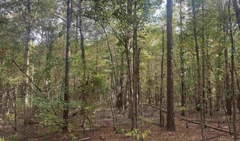 Flanagan Road, Arkadelphia, AR 71923