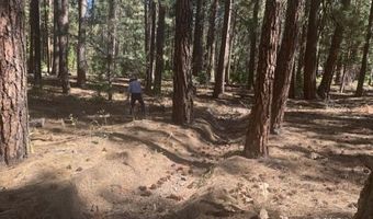 Edgewater Way lot 84, Adin, CA 96006
