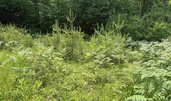 00 Simonsville Rd Lot 3, Andover, VT 05143