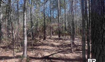 9 Robinsonville Rd, Atmore, AL 36502