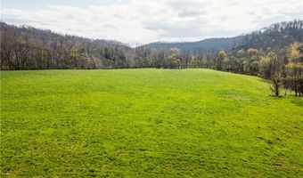 47691 E Captina Highway Rd, Alledonia, OH 43902