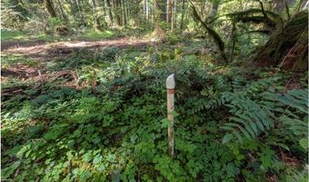 62955 E MOUNTAIN COUNTRY Ln, Brightwood, OR 97011