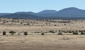 345 CR N3540, Concho, AZ 85924