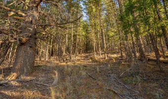El Camino Real lot 35, Angel Fire, NM 87710