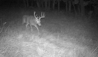 197 Th Trl, Albia, IA 52531