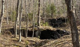 0 Walker Hill Rd, Bridgewater, VT 05034