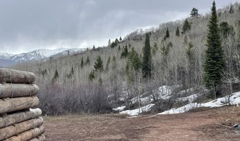 777 RICHARDSON CREEK Rd, Afton, WY 83110