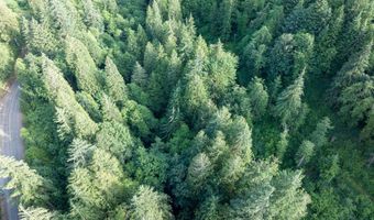 N Dubois Rd, Ariel, WA 98603