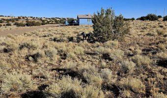 Lot 133 Circle Drive, Concho, AZ 85924