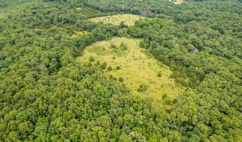 Co Rd 539, Ava, MO 65629