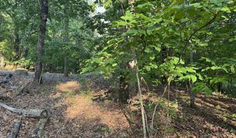 0 DAVIS ACRES Dr 72 & 73, Alpine, AL 35014