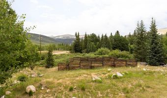 133 GOLD RUN Rd, Alma, CO 80440