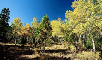 1 The Ranch At Angel Fire, Angel Fire, NM 87710