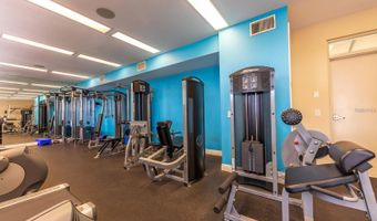 1042 BELLASOL Way 203, Apollo Beach, FL 33572
