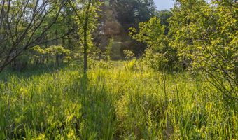 28 Mile Rd, Albion, MI 49224