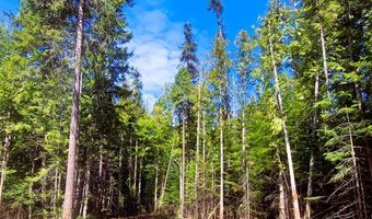 Nka Wandering Wolf Ridge Lot 3, Clark Fork, ID 83811