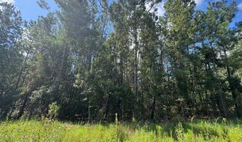 0 Dubberly Rd, Baxley, GA 31513