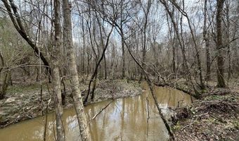 920 A Auburn Dr, Bogue Chitto, MS 39629