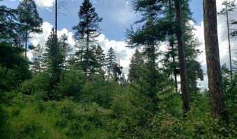 Arlee Pines lot 21, Arlee, MT 59821