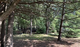 7763 Lagoon Dr, Alanson, MI 49706