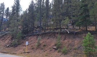 1077 Roland Dr Lot 3, Bailey, CO 80421