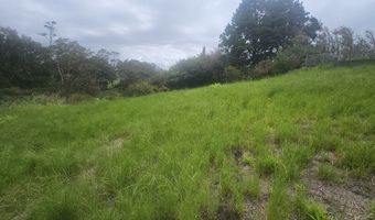 64-635 KOLOHALA Pl, Kamuela, HI 96743