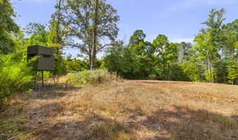 2233 Holloman Rd, Bentonia, MS 39040