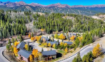 306 ILLINOIS GULCH Rd 113, Breckenridge, CO 80424
