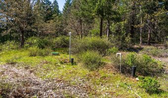 350 BREWER Rd, Appleton, WA 98602