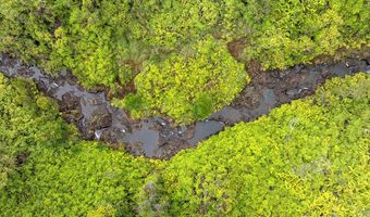 KAIWIKI RD, Hilo, HI 96720