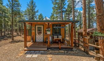 23251 Elk Trl, Aguilar, CO 81020