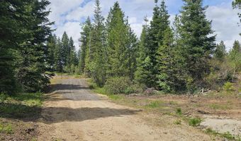 23 Sawtooth Loop, Cascade, ID 83611