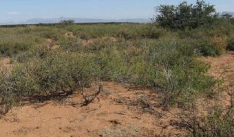 13 Ac Apache Pass Rd, Bowie, AZ 85605