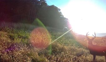 County KK, Alma, WI 54610