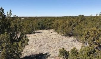 Lot 20 Idlewild Ranch 20, Concho, AZ 85924