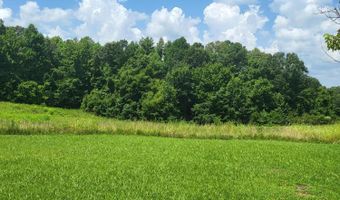 900 Hubberd Town Rd, Beech Bluff, TN 38313
