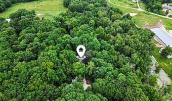 11355 108th St SE, Alto, MI 49302