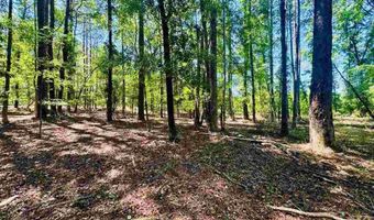 Grants Mill Rd W, Bennettsville, SC 29512