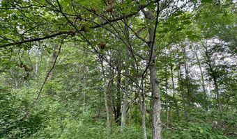 Opah's Drive lot 11, Aitkin, MN 56431