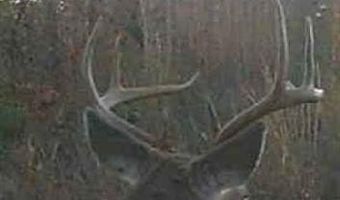 Off Hwy F, Annapolis, MO 63620