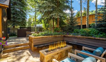 303 W Hopkins Ave, Aspen, CO 81611