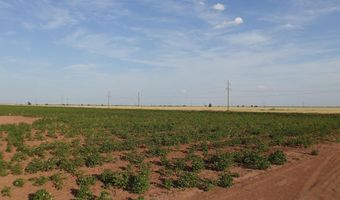 FM 597, Abernathy, TX 79311