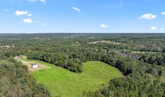 2403 Hog Jaw Rd, Arab, AL 35016