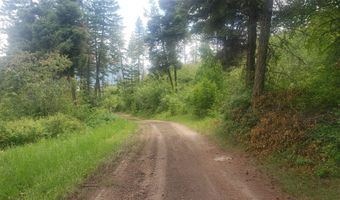 Lot 20 Arlee Pines, Arlee, MT 59821