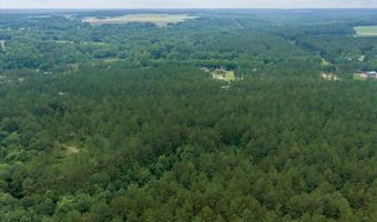 28786 Harbor Rd, Andalusia, AL 36421
