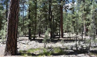 80 Ranch Rd, Bayfield, CO 81122