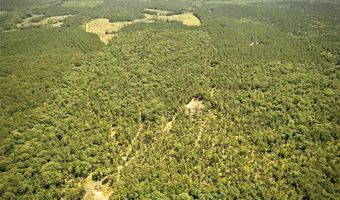 000 William Colvin Rd, Bernice, LA 71222