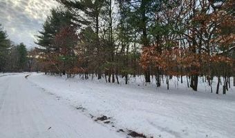 L28 And L29 S Badger Lane, Arkdale, WI 54613