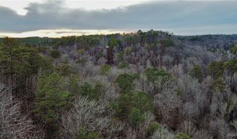 8648 Groundhog Rd, Adger, AL 35006